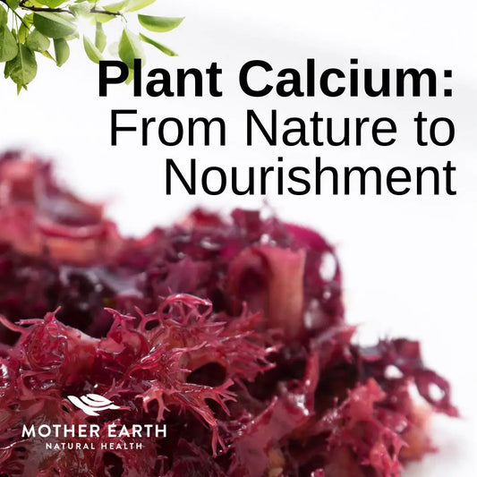 From Nature to Nourishment: Exploring the Benefits Studies and Uses of Plant Calcium