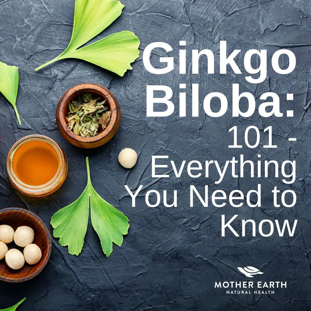 Ginkgo Biloba- 101: Everything You Need to Know for a Healthier