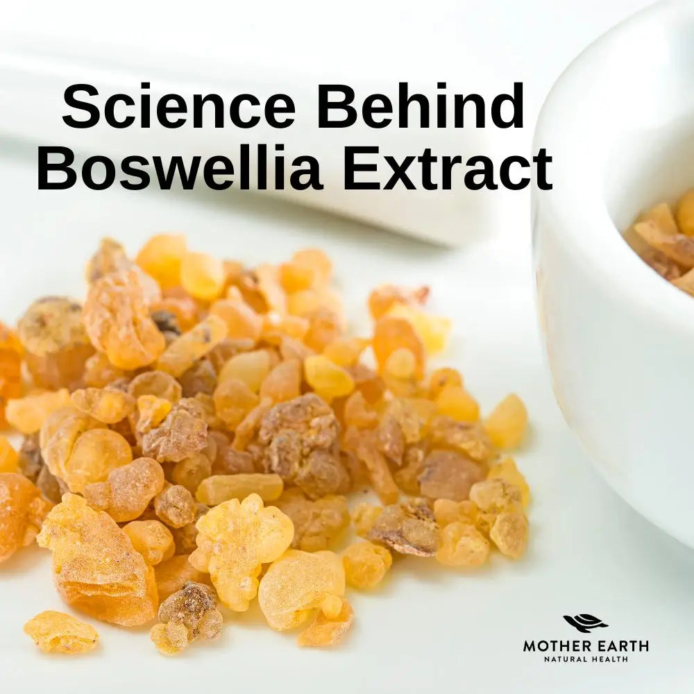 The Science Behind Boswellia Extract: Unlocking Its Potential for Optimal Health
