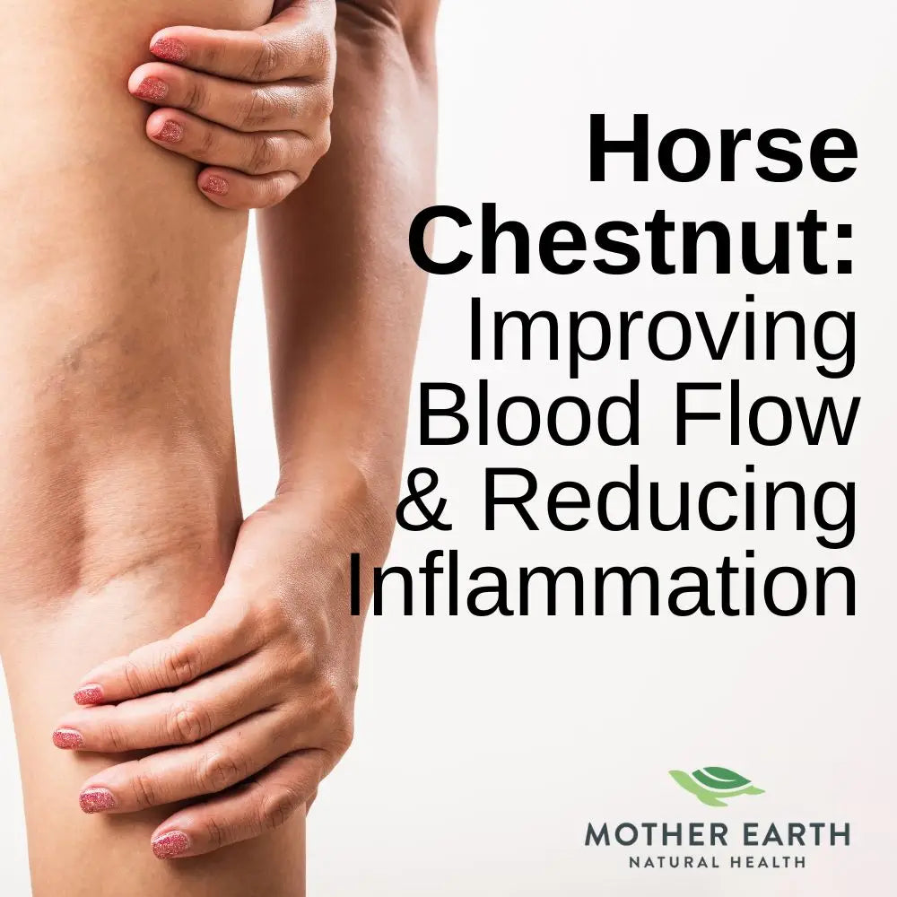 The Ultimate Guide to Horse Chestnut Extract: Maximizing Its Benefits and Determining the Ideal Daily Dose