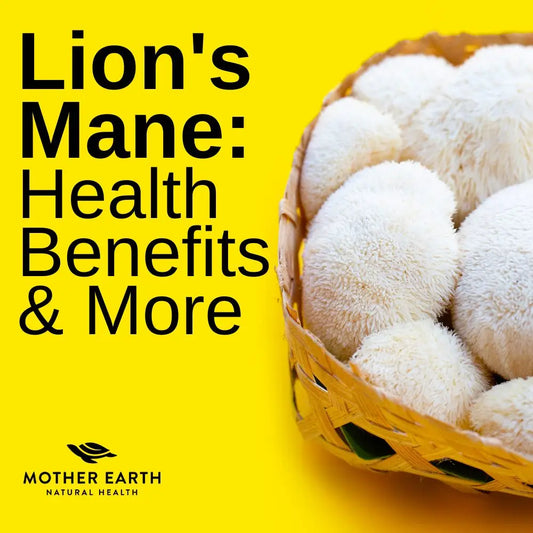 The Ultimate Guide to Lion’s Mane: Unraveling its Health Benefits Cures and Versatile Uses