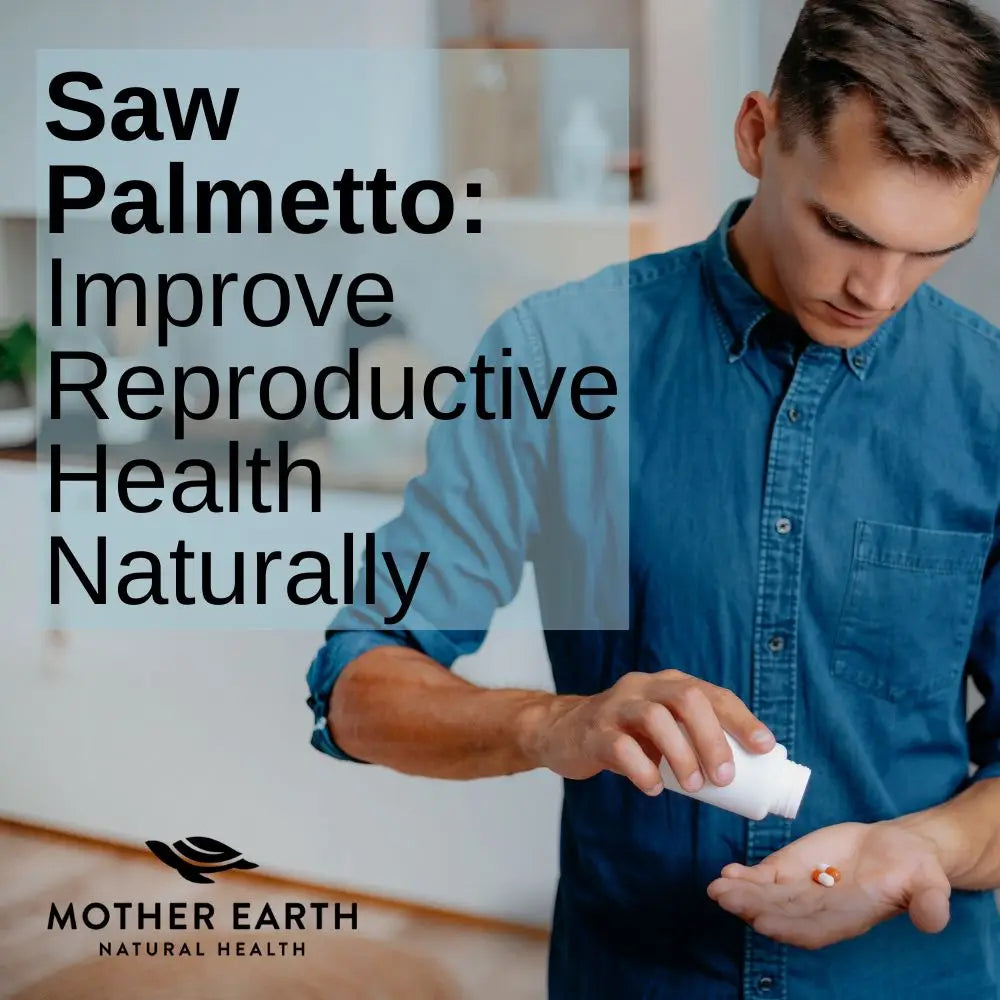 The Wonders of Saw Palmetto: Improving Health and Wellness Naturally
