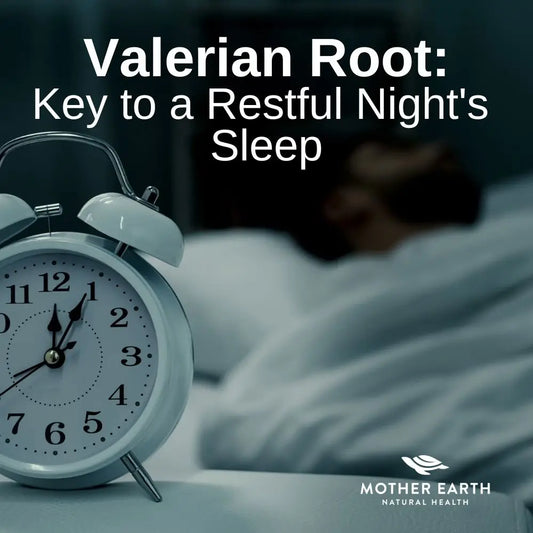 Valerian Root: Your Key to a Restful Night’s Sleep and Stress Relief