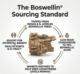 Boswellia Extract