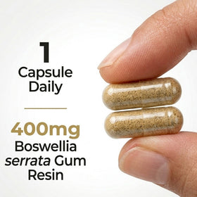 Boswellia Extract