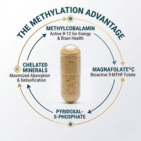 Coenzymated Once Daily Multi Vitamin - No Iron