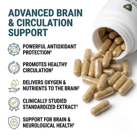 Ginkgo Biloba Extract