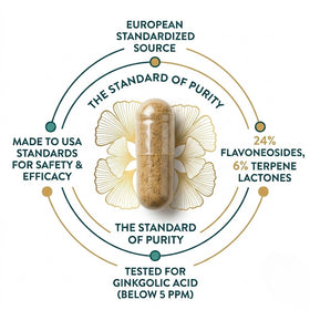 Ginkgo Biloba Extract
