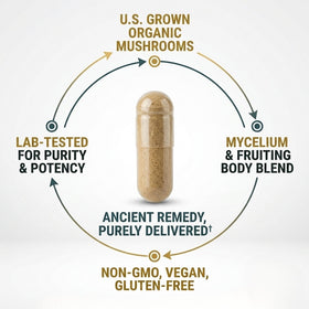 Mushroom Immune Support