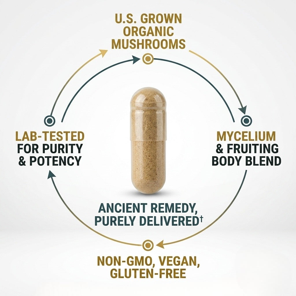 Mushroom Immune Support