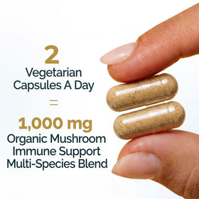 Mushroom Immune Support