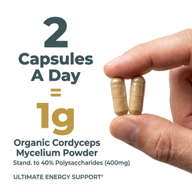Organic Cordyceps Mushroom